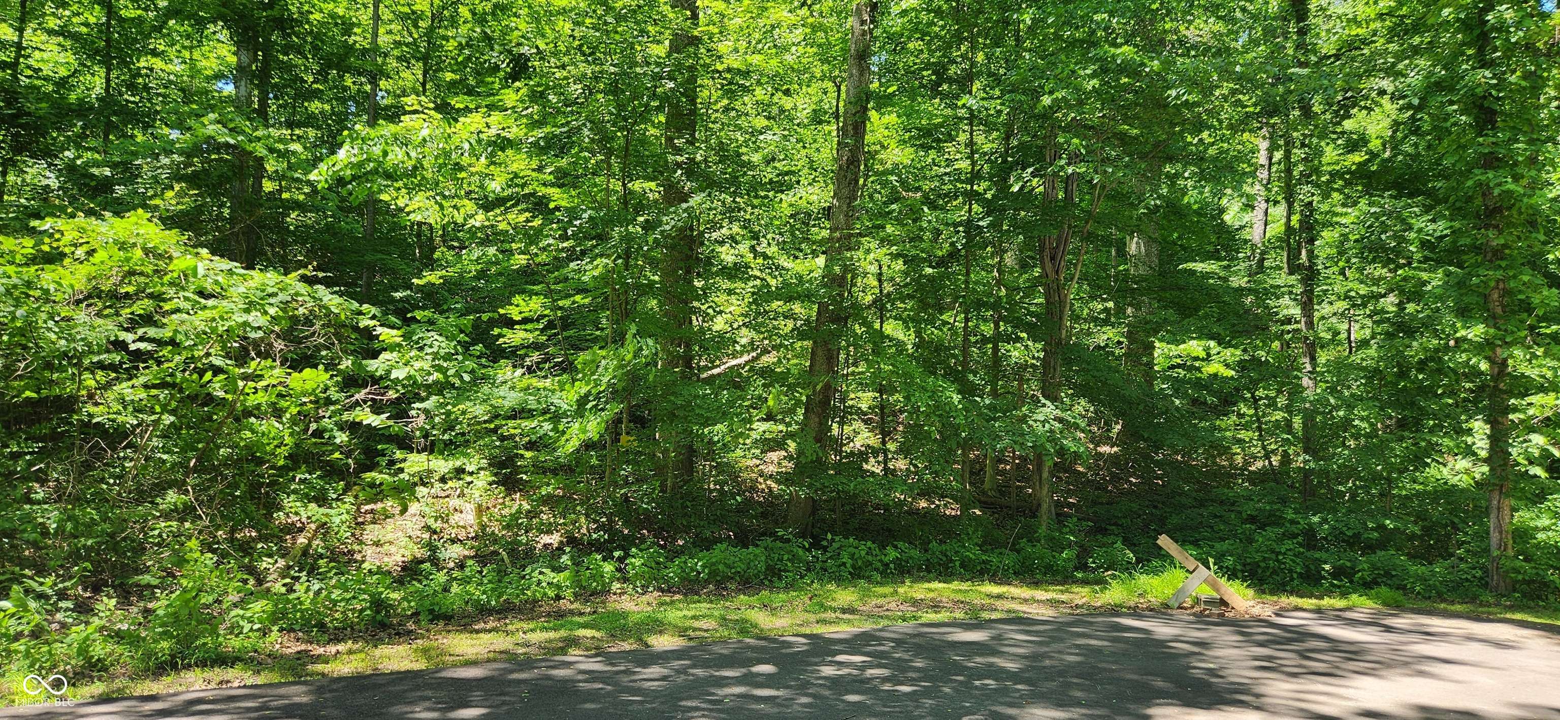 0 Sunnyslope South CT, Martinsville, IN 46151