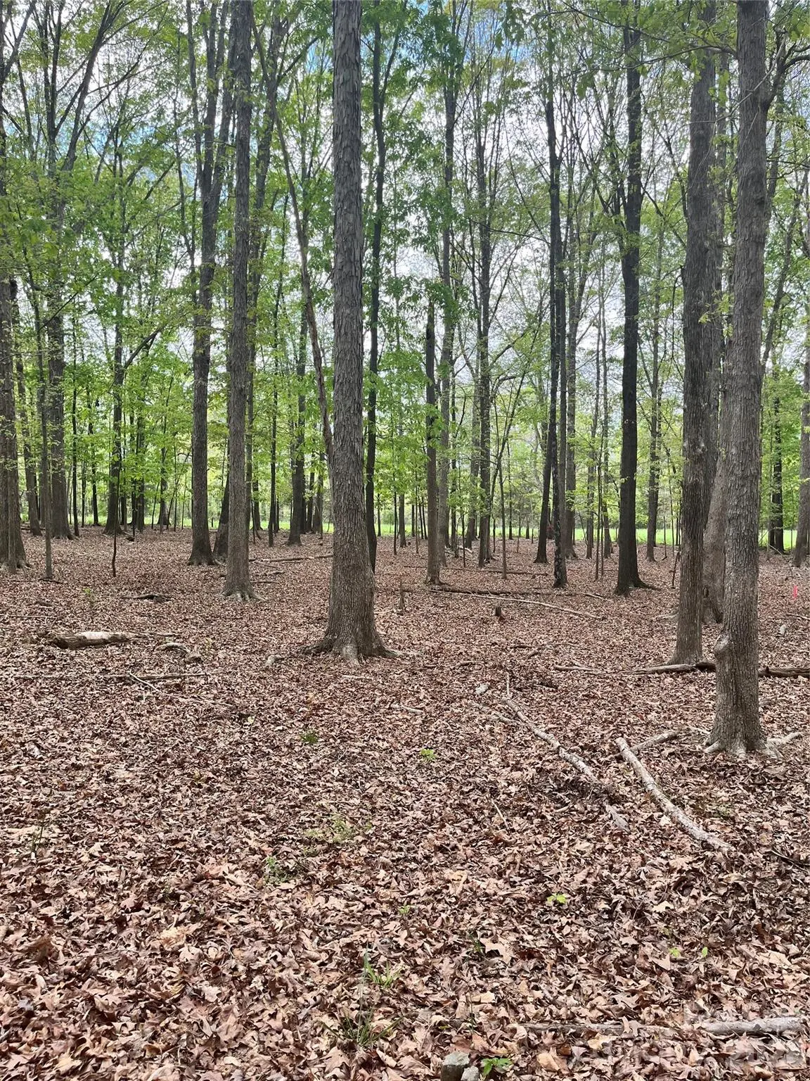 001 Wolf Pond RD, Monroe, NC 28112