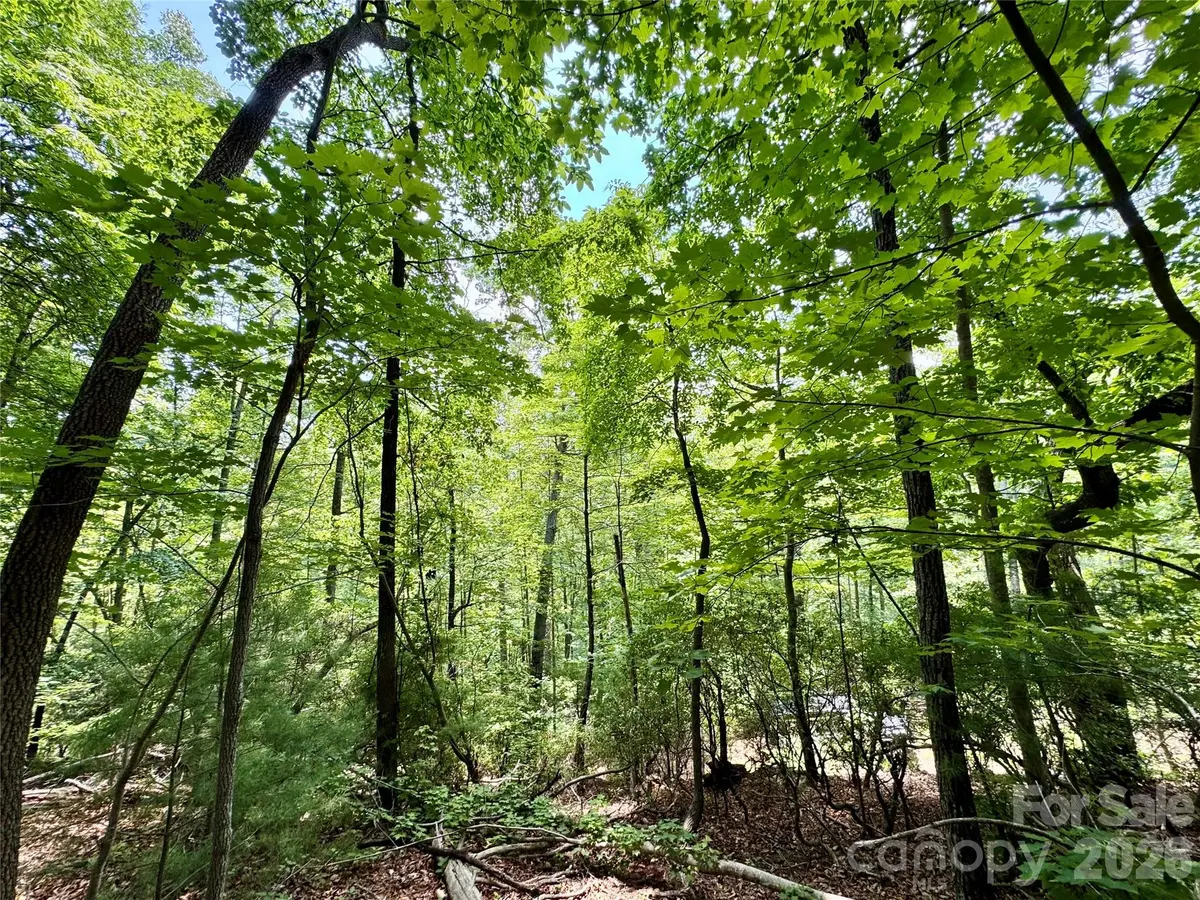 Lot 23 Bear Track LN #23, Lenoir, NC 28645