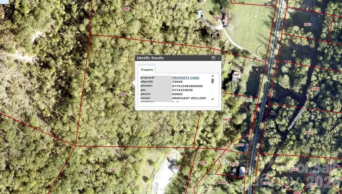99999 Paint Fork RD, Barnardsville, NC 28709