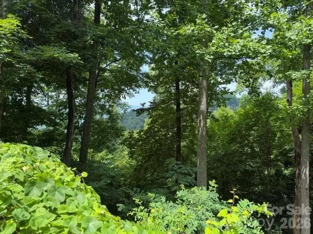 Lot 22 Spring Rock RD, Burnsville, NC 28714
