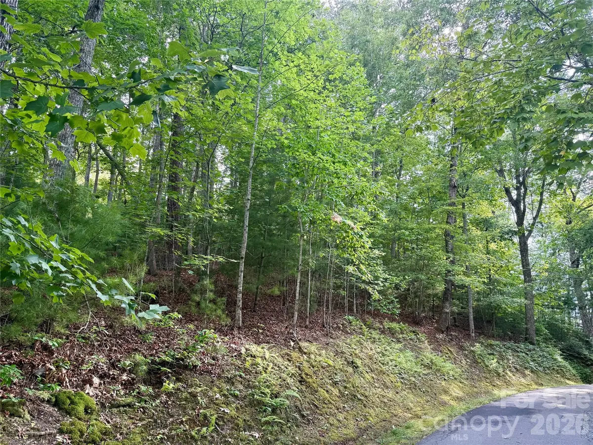 75 Longview CT #4, Marshall, NC 28753