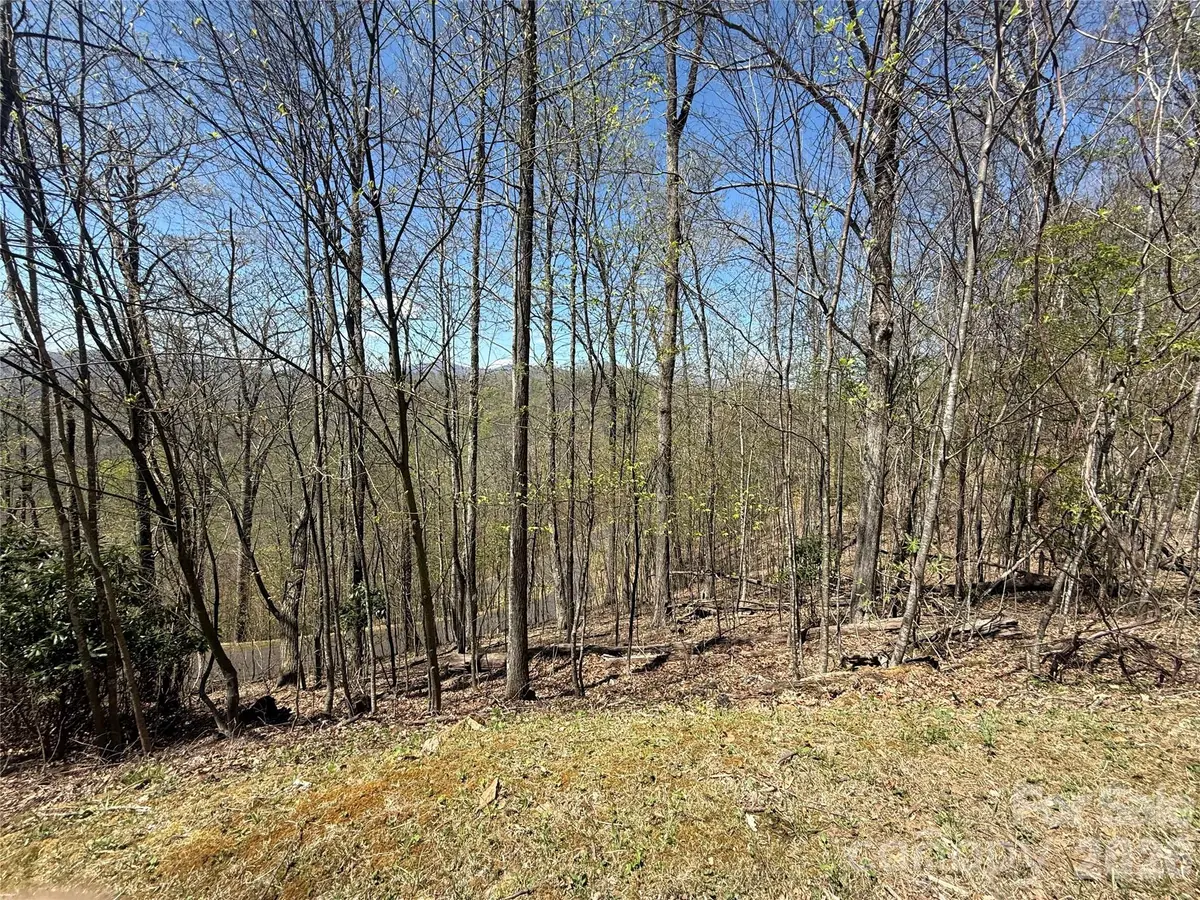 24 Elk Mountain LOOP, Newland, NC 28657