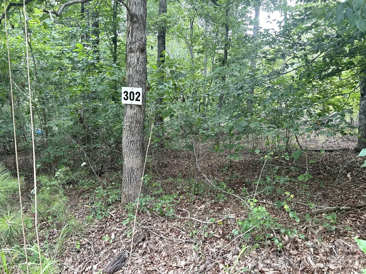 00 Bitteroot CIR #302, Rutherfordton, NC 28139