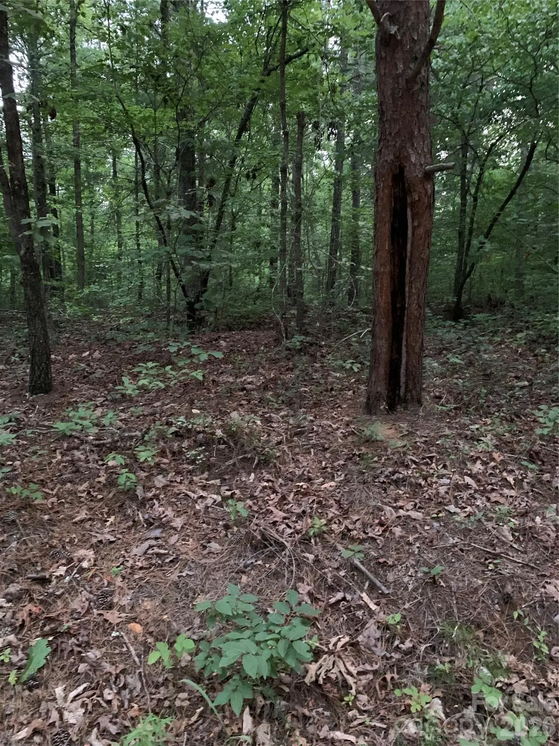 0 Ore Bank RD, Smyrna, SC 29743