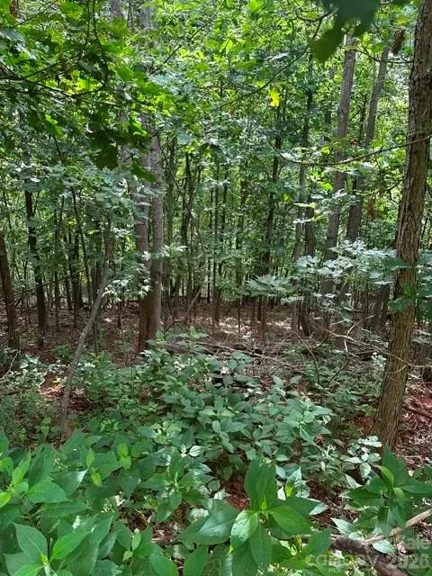 0 Cove Gap RD #1, Moravian Falls, NC 28654