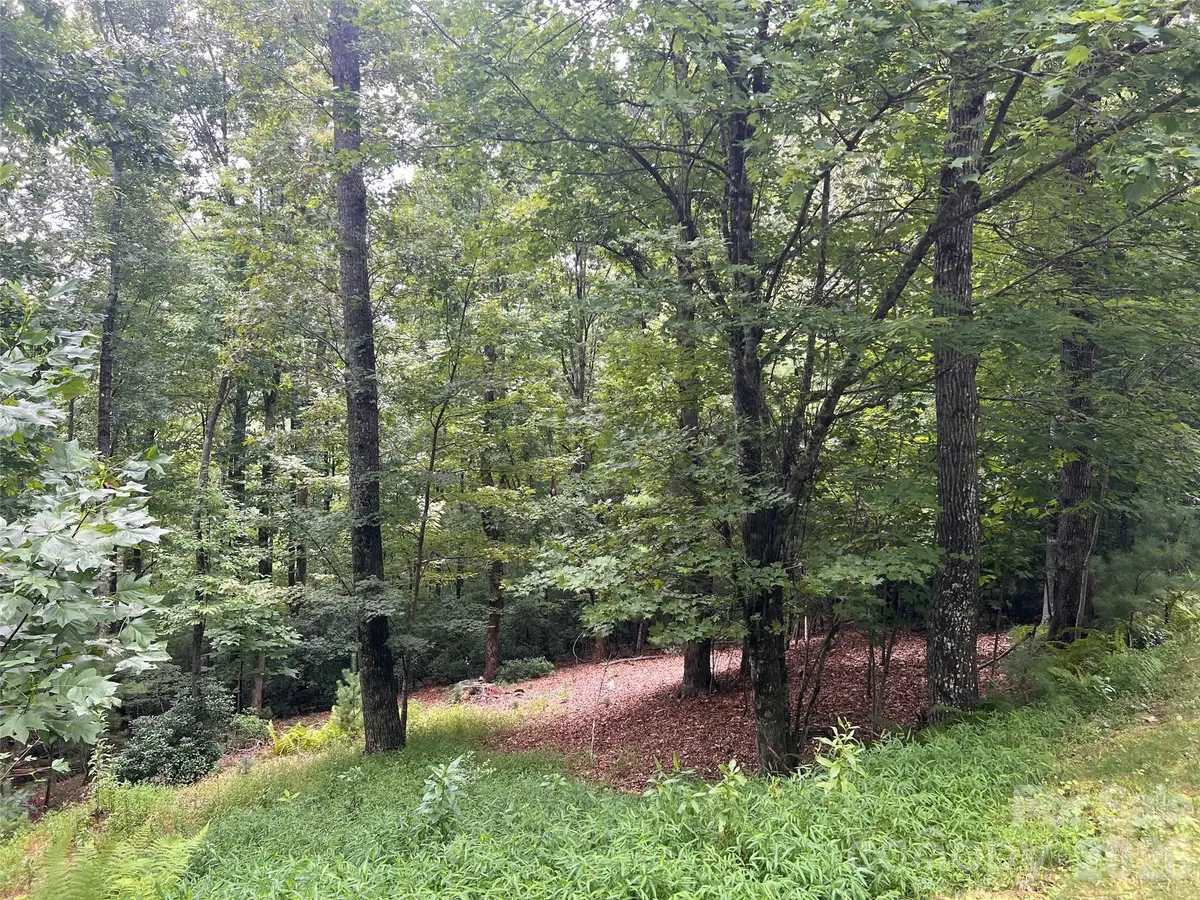 211 Tom Fazio TRCE #342, Hendersonville, NC 28739