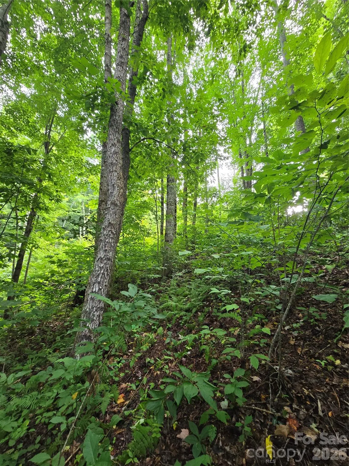 108 Tenderfoot TRL #108 & 109, Maggie Valley, NC 28751