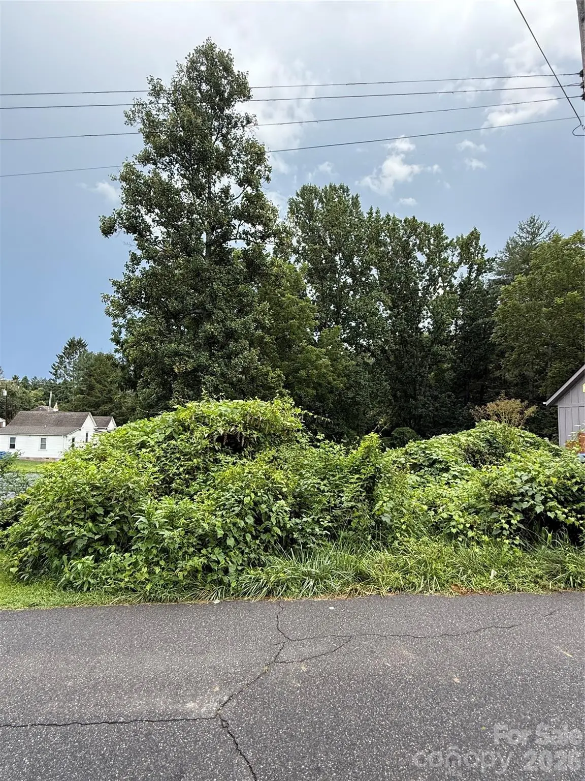 00000 Duckworth AVE #1, Brevard, NC 28712