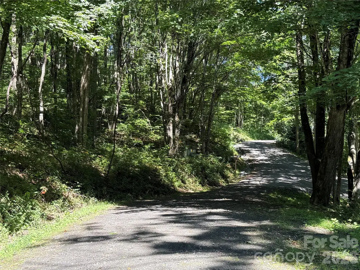 7 Wolfsbane TRL #7, Todd, NC 28684