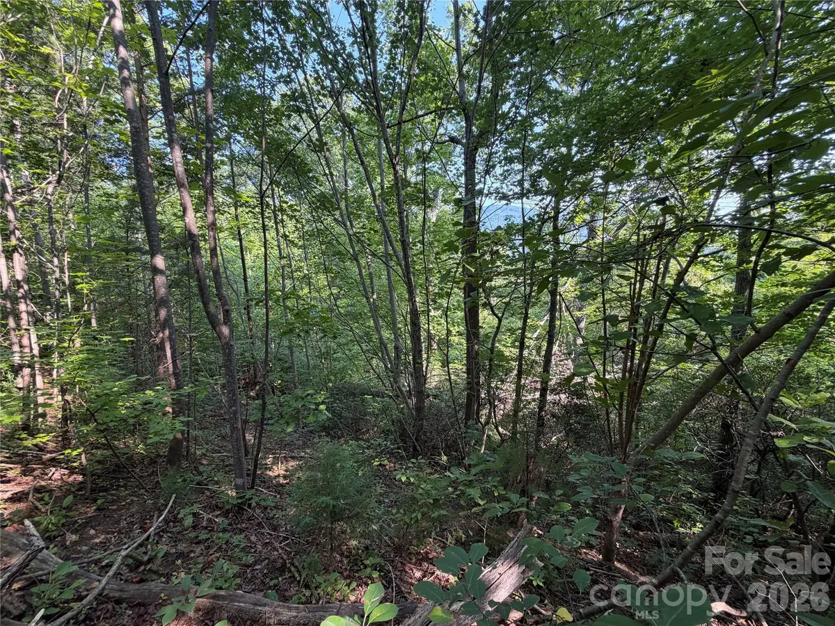 00 Holland DR #24, Columbus, NC 28722