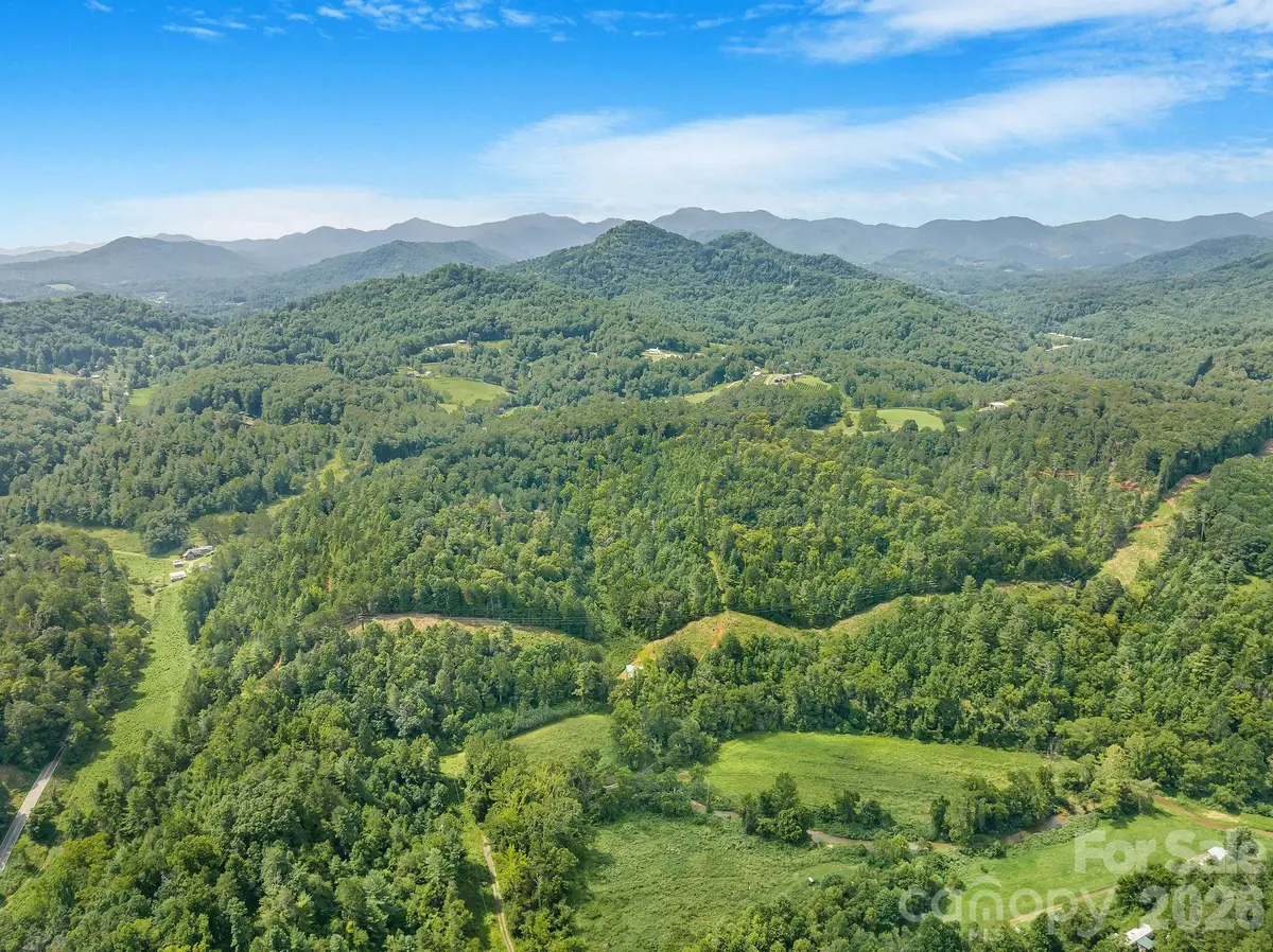 99999 Meadows Town RD, Leicester, NC 28748