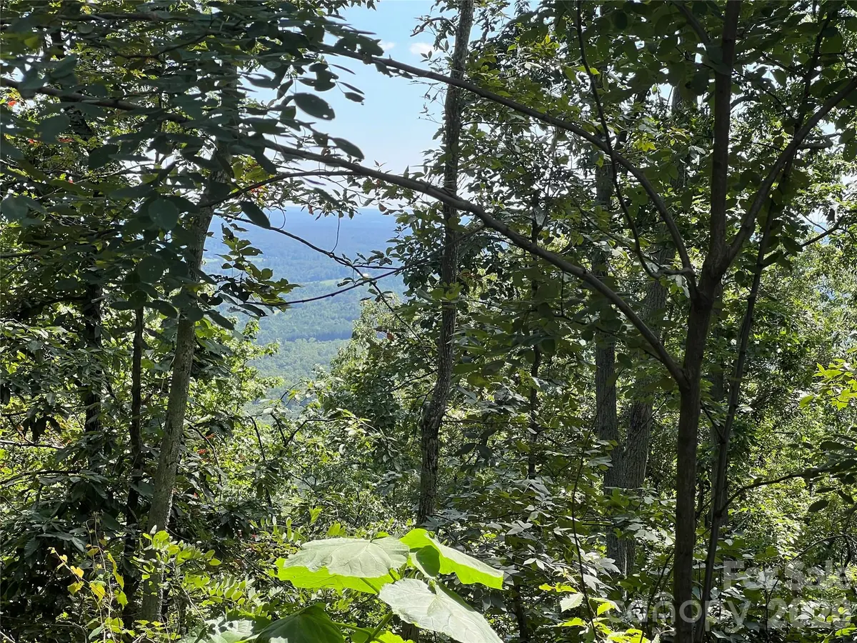 00 Brighton DR #233, Bostic, NC 28018