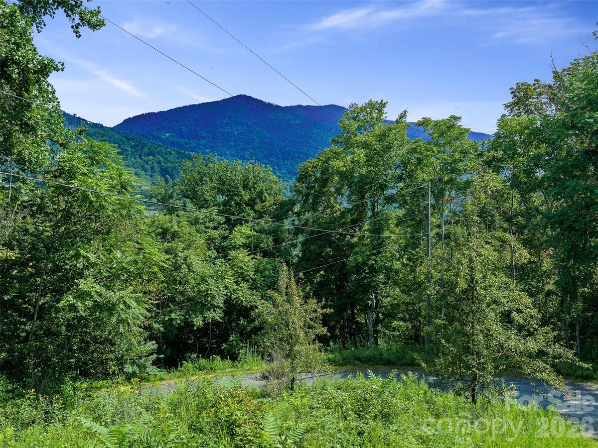 Lot #63-65 Bear Ridge RD, Bakersville, NC 28705