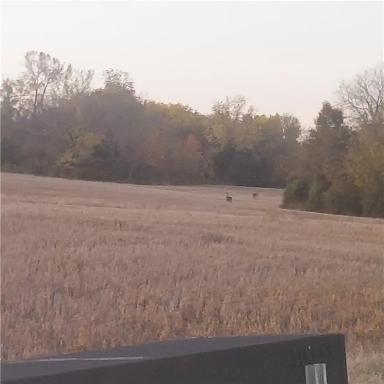 13-Acres E 315th ST, Drexel, MO 64742