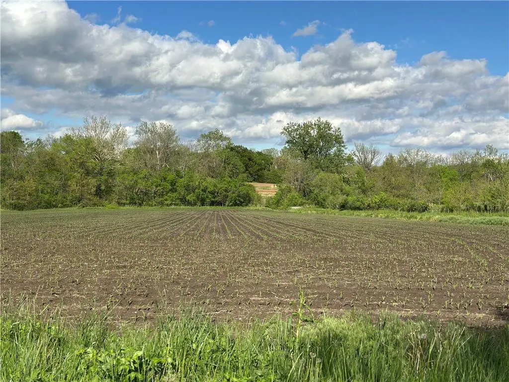 Tract 1 Albany RD, Orrick, MO 64077