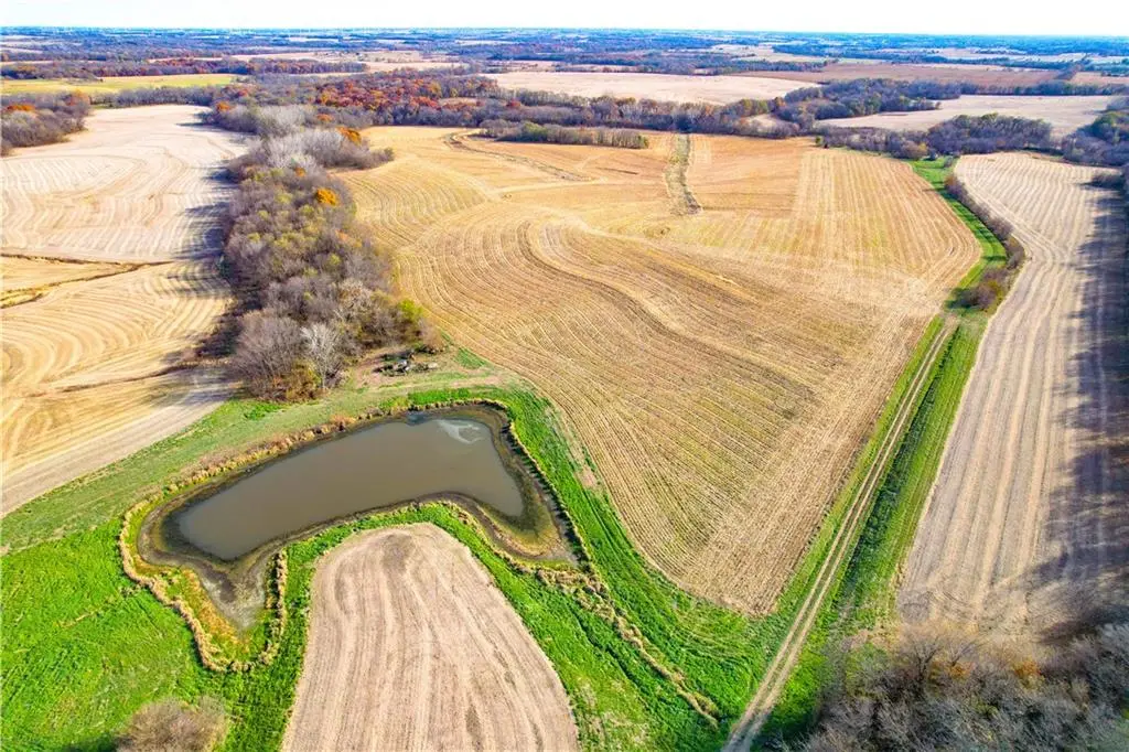 48 HWY, King City, MO 64463