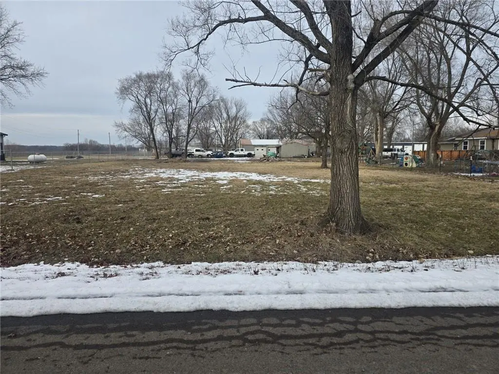 725 Pearl ST, East Lynne, MO 64743