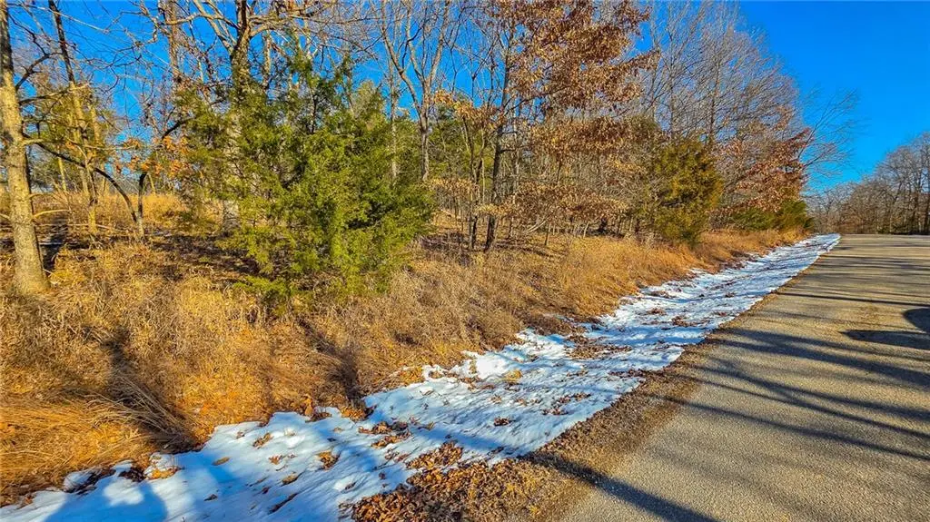 Lot #1356 Champion DR, Sunrise Beach, MO 65079