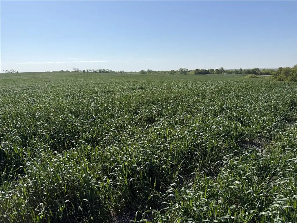 TBD H HWY, Darlington, MO 64438