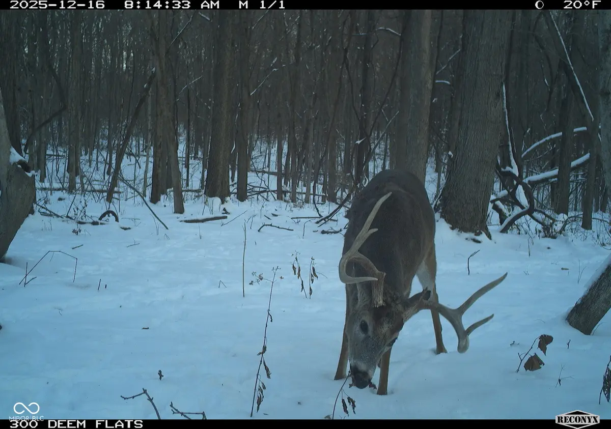 0 1300 South, Clinton, IN 47842