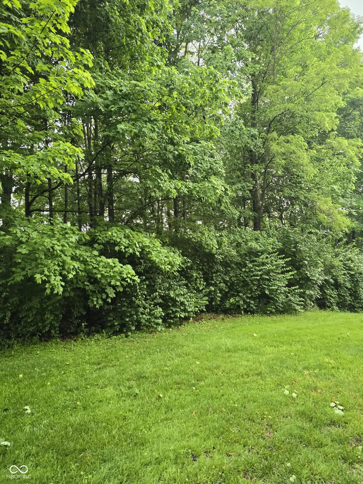 9895 Irishmans Run LN, Zionsville, IN 46077