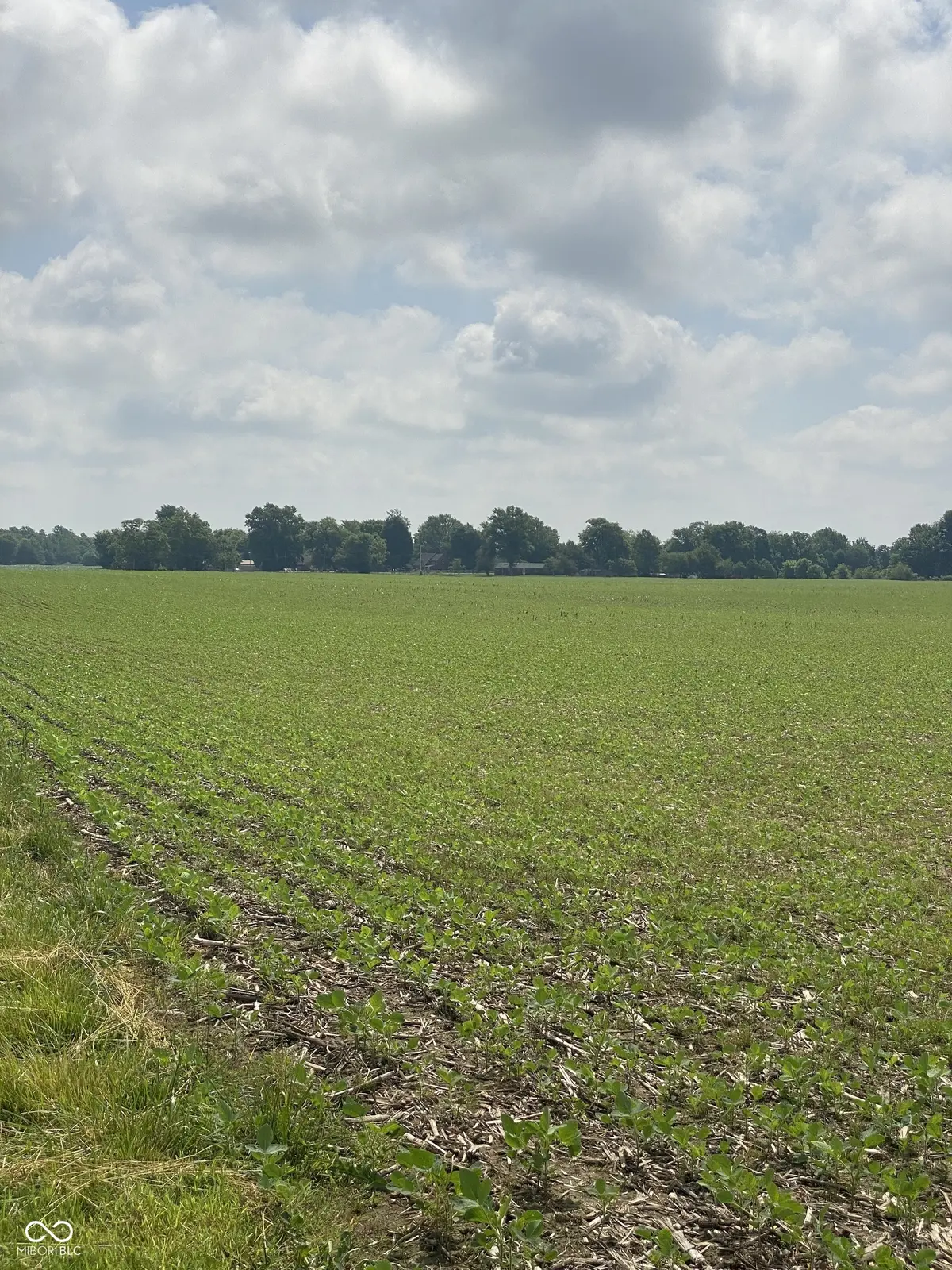 TBD E State Road 236, North Salem, IN 46165