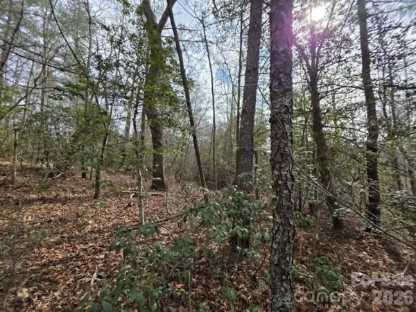 Lot 1 Kerlee LN, Old Fort, NC 28762