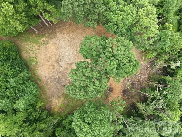 99999 Davidson Gap RD #79, Leicester, NC 28748