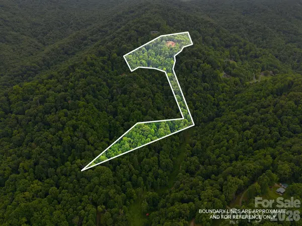99999 Davidson Gap RD #79, Leicester, NC 28748