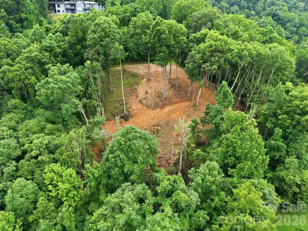 99999 Davidson Gap RD #79, Leicester, NC 28748