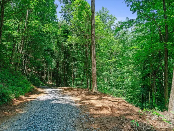 9999 Lovebird LN #20, Candler, NC 28715