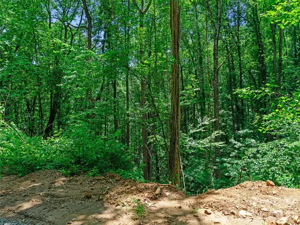 9999 Lovebird LN #23, Candler, NC 28715