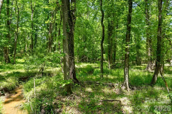 0000 Cool Branch RD #1, Carlisle, SC 29706