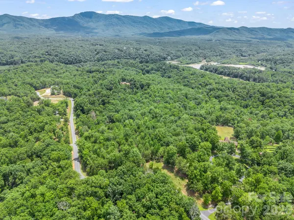 0 North Park LN #33, Mill Spring, NC 28756