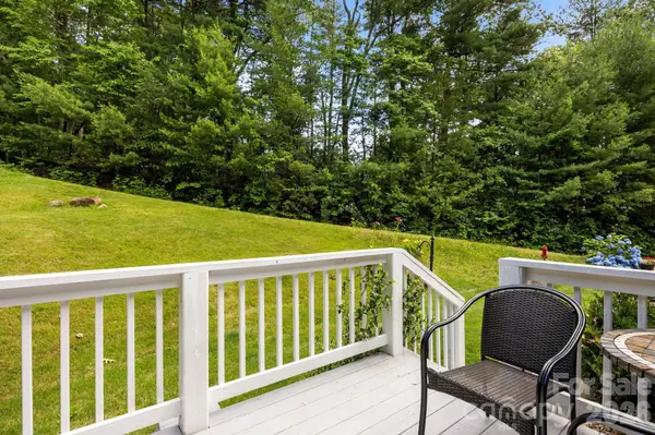 54 Thad Johnson RD, Saluda, NC 28773