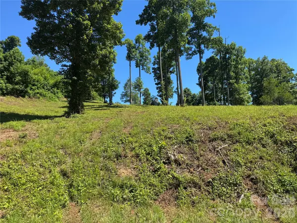 00 Glen Haven CV, Edneyville, NC 28792