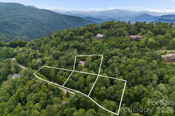 692 Mckinney Gap DR, Mars Hill, NC 28754