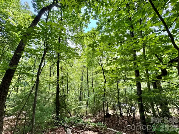 Lot 23 Bear Track LN #23, Lenoir, NC 28645