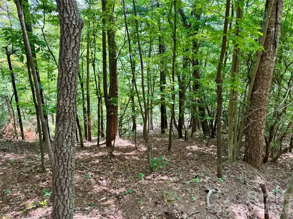 Lot 23 Bear Track LN #23, Lenoir, NC 28645
