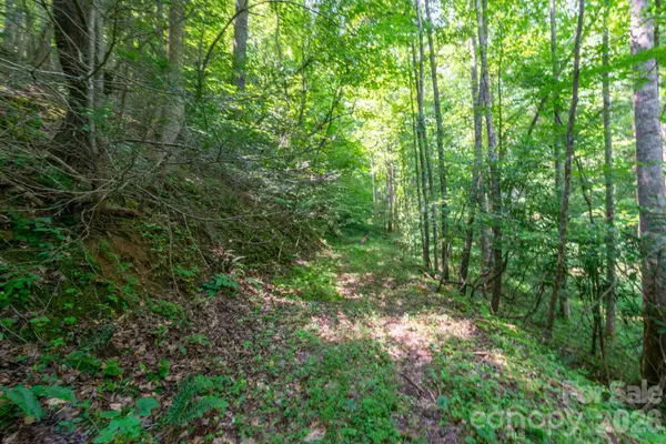 ### Board Tree RD #6, Marshall, NC 28753