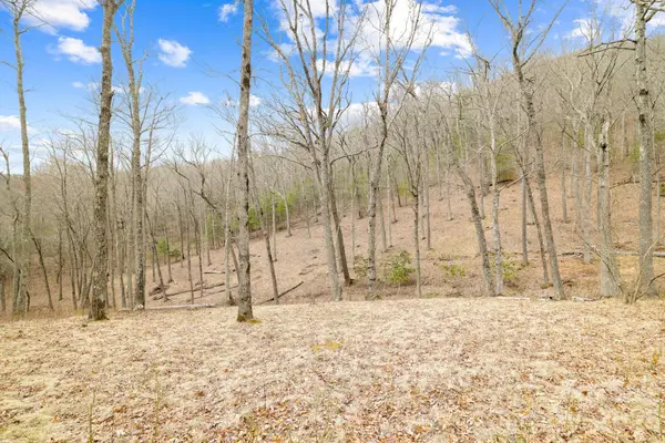 527 North Robinson Creek RD, Glenville, NC 28736