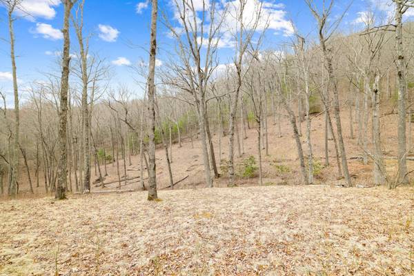 527 North Robinson Creek RD, Glenville, NC 28736