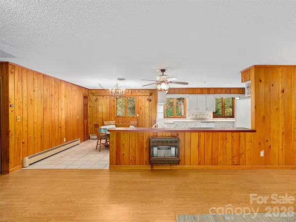 1065 Upper Pig Pen RD, Green Mountain, NC 28740