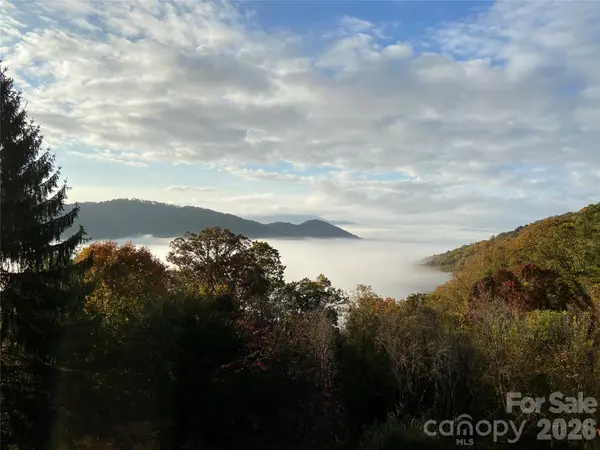 811 Town Mountain RD, Asheville, NC 28804