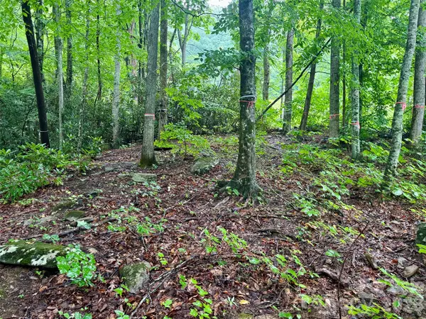 1230 Arborcrest WAY, Swannanoa, NC 28778