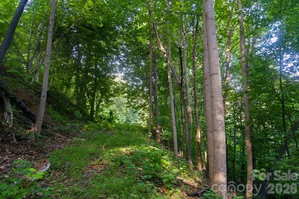 00 Ragans Pointe Pointe #58, Columbus, NC 28722
