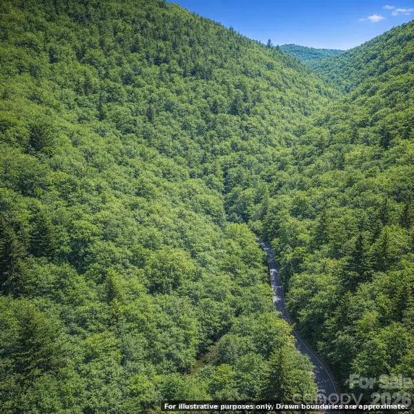0000 Rainbow Trout DR, Burnsville, NC 28714