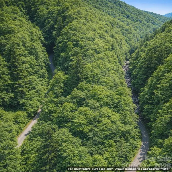 0000 Rainbow Trout DR, Burnsville, NC 28714