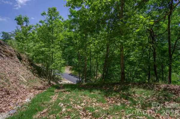 lot 53R Mills River WAY #Lot 53R, Horse Shoe, NC 28742